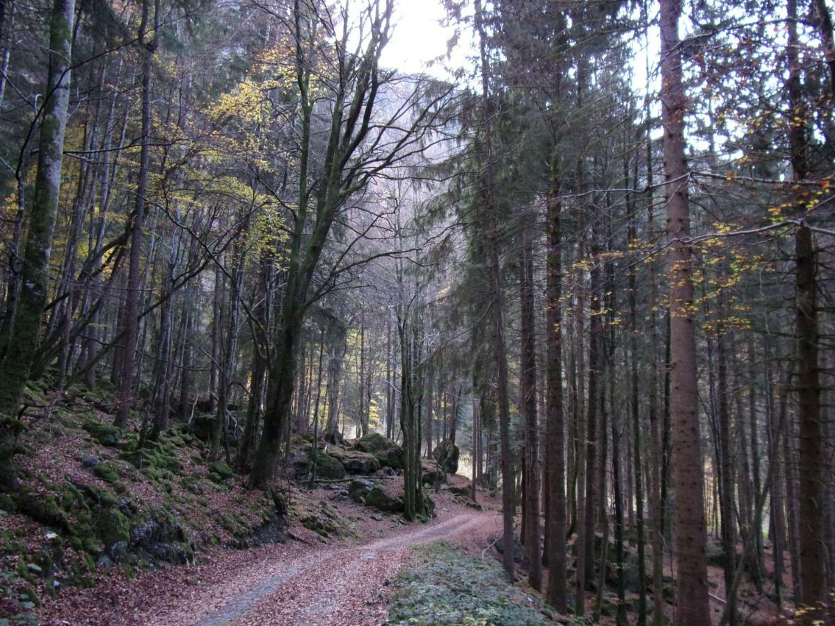 Gite Le Cerf De Belledonne Sainte-Agnès Exteriér fotografie